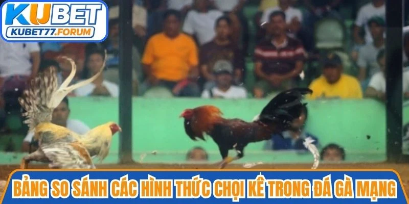 Bảng so sánh các hình thức chọi kê trong đá gà mạng