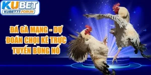 Đá Gà Mạng
