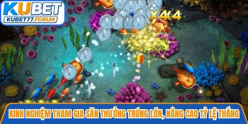 Kinh nghiệm tham gia săn thưởng trúng lớn, nâng cao tỷ lệ thắng tại sảnh