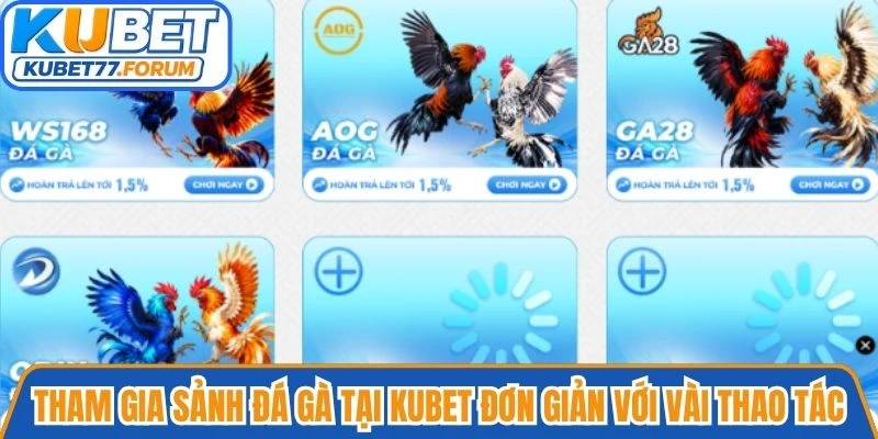 Tham gia sảnh Đá gà tại Kubet đơn giản, nhanh chóng với vài thao tác