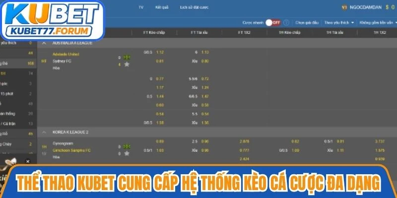 Thể thao Kubet cung cấp hệ thống kèo cá cược đa dạng, tỷ lệ cạnh tranh